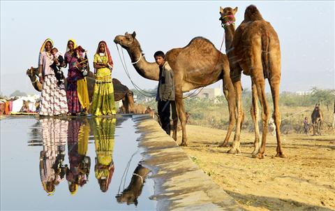 Camel and Reflection